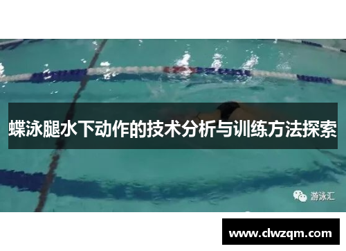 蝶泳腿水下动作的技术分析与训练方法探索